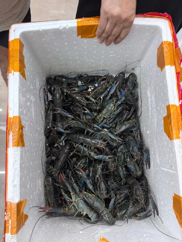 做咨询的经历，又让我打卡新地标：广西北海
