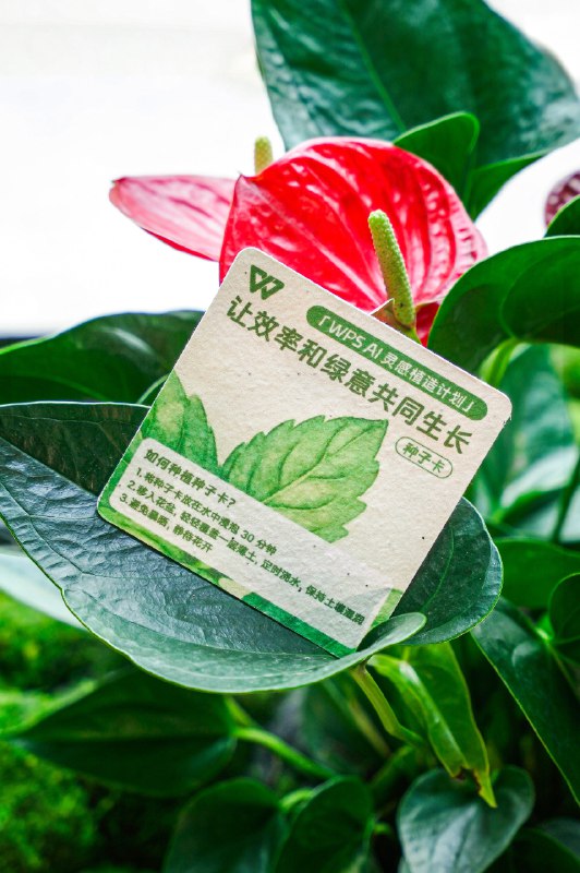 WPS 又搞联动啦，这个返航计划有点东西我们加入了三顿半的返航计划，还准备了一份特别的合作物资——「WPS AI效率萌芽卡」