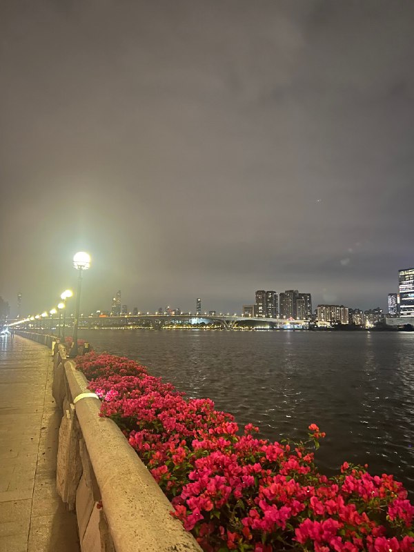 团队很努力，很辛苦的加班到现在，心疼，但没办法这就是美国直播行业，但是无论是平台还是我们自己都在寻求解法，我们都想逆势成长为新物种