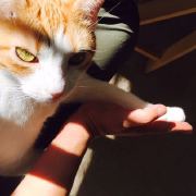 #程序员木遥: 虽然这个话题已经有点过热了，但我觉得还是值得写一下为什么 ChatGPT （确切说是以它为代表的大语言模型的进展）是重要的