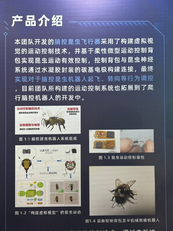 本北方人第一次看到活的双马尾大蟑螂，是在科技企业展会上……还是忍不住问一句：这，真的是蟑螂？他们给蟑螂、蜜蜂背上安装芯片，控制它们执行任务本北方人第一次看到活的双马尾大蟑螂，是在科技企业展会上……还是忍不住问一句：这，真的是蟑螂？他们给蟑螂、蜜蜂背上安装芯片，控制它们执行任务