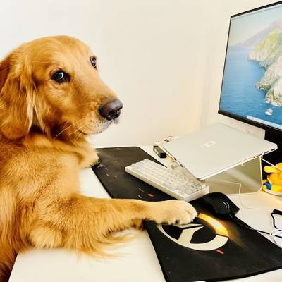 养猪猪的乐乐发表了动态：构建产品的时候解决问题永远是快乐的