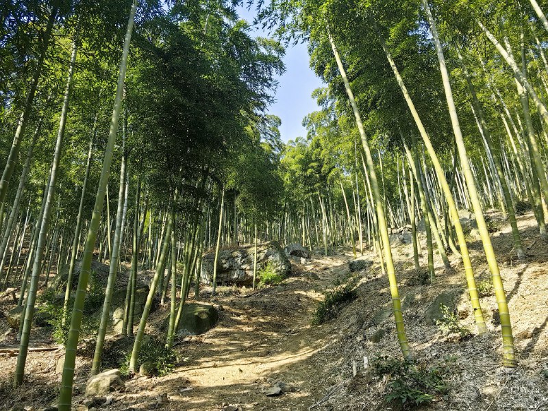 阿里系的产品发布，总给人一种没准备好就强行拉出来展示的感觉，像极了春节被要求出来表演节目的孩子，从高德、灵光、阿福到千问…… 我都能想到内部产品同学是怎么抗议，然后抗议无效的