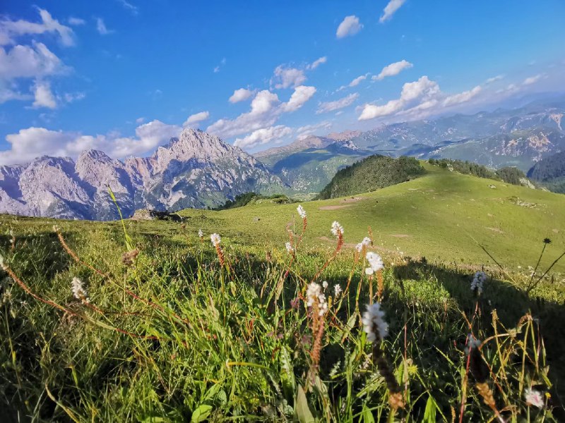 每天坚持看书2小时的成长效果最大给大家分享我10年坚持读书的效果1. Kindle读了200本书2.实体书读了100多，包括资治通鉴、罗马人的故事等大部头的书3.涉及领域有研发、产品、设计、建筑、心理学、经济学、历史、科幻、材料等领域，当年读的书一般在1~3年后的工作帮助最大读书破万卷，不管是做产品、管理团队、商业和认知上都可以获得成倍速度的增长，这种体系化的阅读给你脑袋OS的升级，不是那些碎片化的东拼西凑后和增长教练给你的套路能比的知识在你脑袋里沉淀、发酵，最后形成自己的哲学体系和价值观，一旦形成了哲学体系，很多东西你学习后就马上多维度融合，这种思维能力的提升是阶梯式的提升所以，多读书吧，你们研究一下巴菲特和查理芒格每天读多少书？你就知道为什么你赚钱没他们多了@
