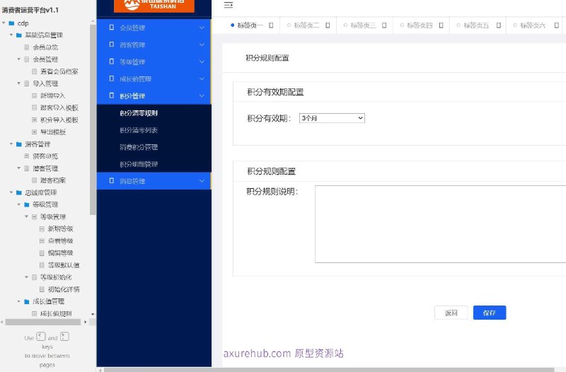 原型介绍：这个原型项目是一个消费者运营平台（CDP），版本号为v1.1