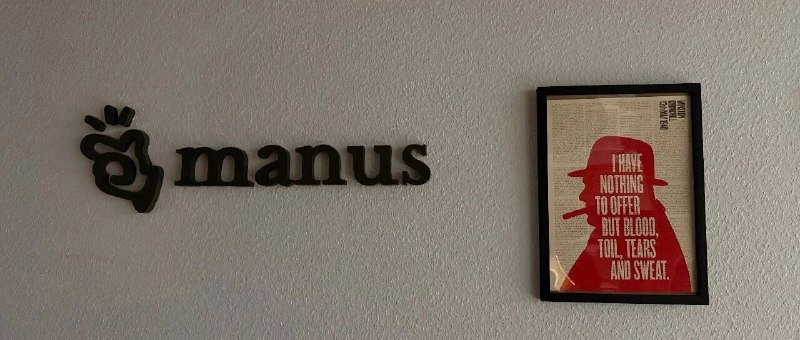 将非共识放大的 2025 年2023 年入了 AI 这行后，我就将即刻的个人签名改为“寻找非共识中”，今年 3 月发布 Manus 后又将其改为“将非共识变为共识中”，下半年最后改成了“将共识放大中”