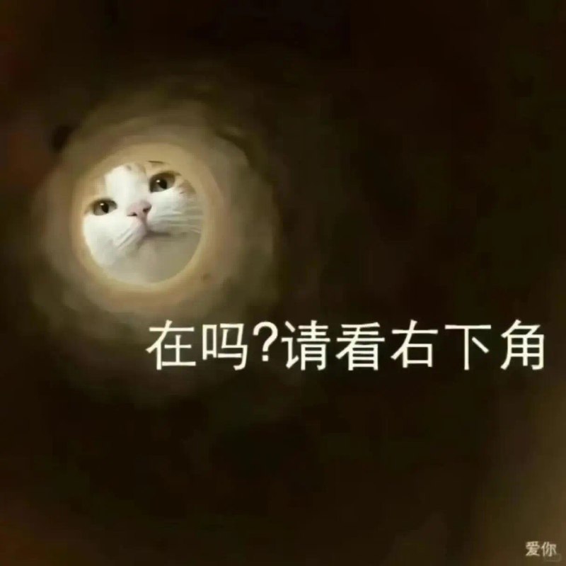 看着自己越来越「过气」，时长想是不是该改变了我创作想法偏向「长青」，好不容易做出一个爆款收获了一批同好的关注，是非常幸运而幸福的事所以喜欢反复打磨细节，追求极致体验长线售后但是策略更倾向推新品，我也就渐渐无人问津了