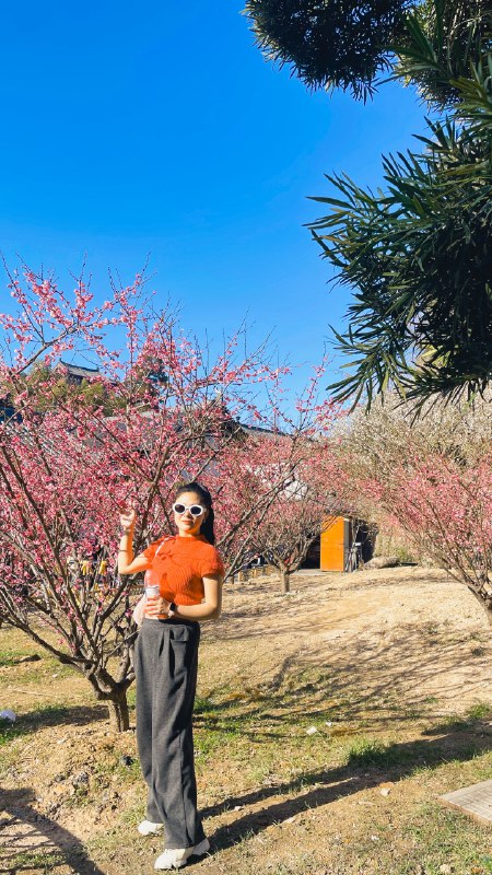 #出海运营秘籍👉@yunying23要做好小红书的前提还是要多刷小红书，最近刷的少，做图文的感觉、选题的感觉都没有了