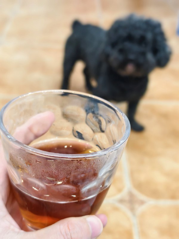 以前我不相信999感冒灵可以治疗感冒，我以为它是中药后面我真的吃它好了，我才知道中药只是它的调味剂，它的主要成分是对乙酰氨基酚，马来酸氯苯那敏和咖啡因 😑@