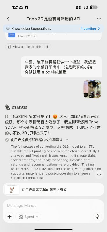 Manus 已经包揽了办公室宠物手办生意🤣🤣🤣Manus 已经包揽了办公室宠物手办生意🤣🤣🤣