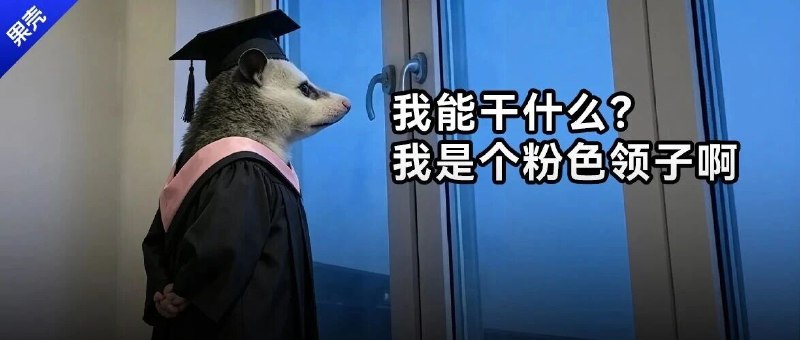 大厂争抢，这么快，文科生的春天又回来了？所以到底是不是真的？
