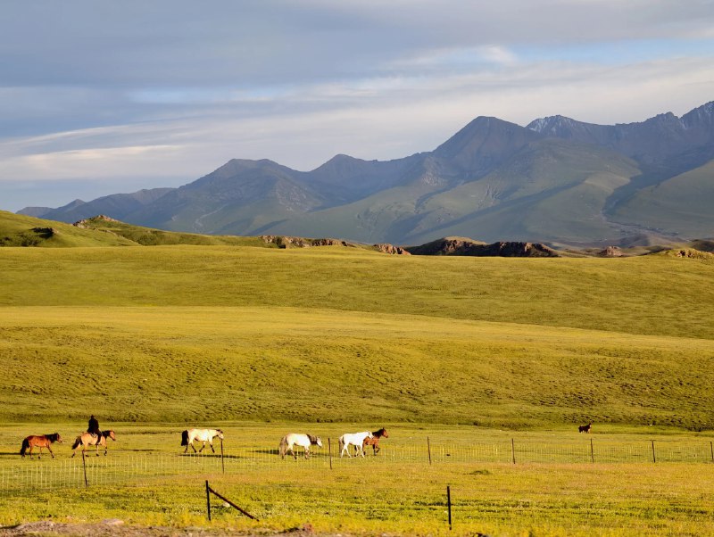 我这20年有一个隐蔽的技能就是代码狂魔打底的HR，很多同事都是我亲自面试的我这20年面试过几千个操作系统人才下面是我给才毕业的年轻人写的HR经验，希望能帮助你们找到理想的工作1. 毕业之前的实习最重要：如果你要找工作，最重要的根本不是你的学习成绩有多好，工业界的知识和学校最少有10年的差距，企业根本不看学校成绩