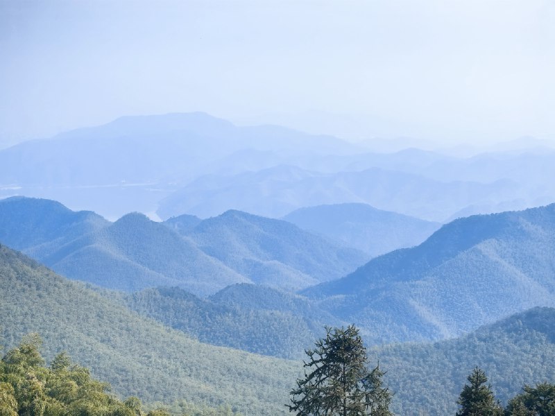 阿里系的产品发布，总给人一种没准备好就强行拉出来展示的感觉，像极了春节被要求出来表演节目的孩子，从高德、灵光、阿福到千问…… 我都能想到内部产品同学是怎么抗议，然后抗议无效的