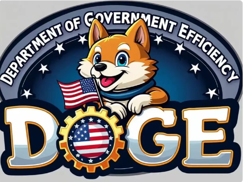 看过老马发布的DOGE计划了吗？对我国同样适用