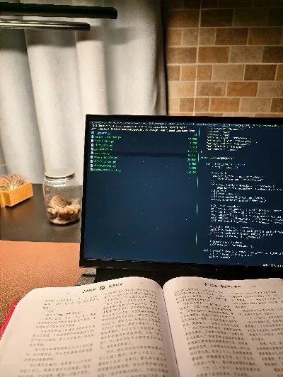 就像正在和你们聊天的我， 写代码累了， 就看会儿资治通鉴， 总共12本， 坚持了2年的业余时间， 已经快看完第11本了