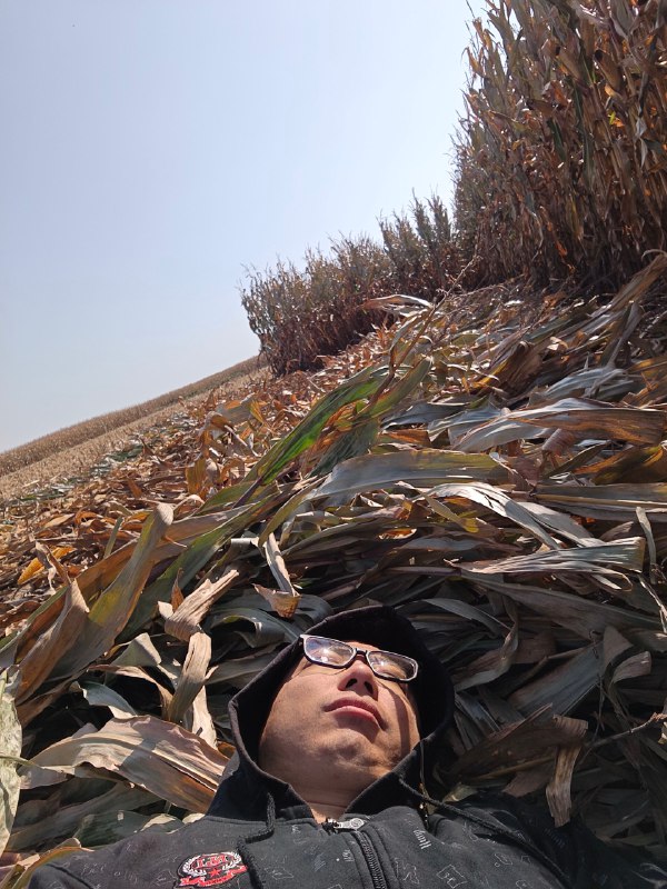 10：00——上班班！11：00——累了，睡会儿互联网产品狗在线掰玉米🌽10：00——上班班！11：00——累了，睡会儿互联网产品狗在线掰玉米🌽