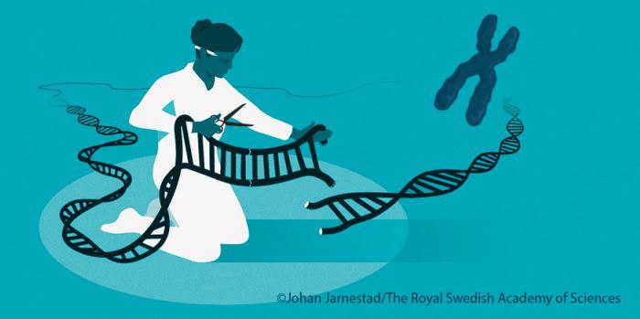 Nobel Prize in Chemistry 2020