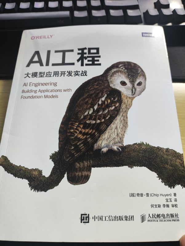 宝玉翻译的大模型应用开发实战，由图灵出版社出版