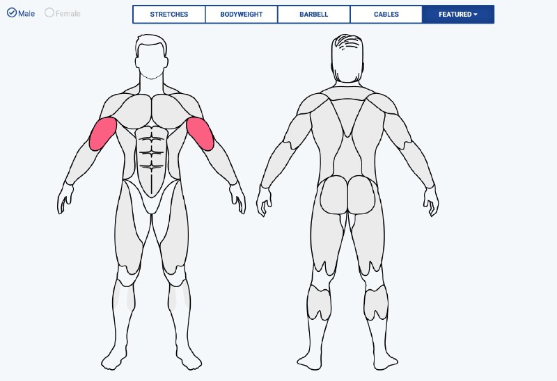 今天发现一个用于健身，肌肉训练的非常好的网站：