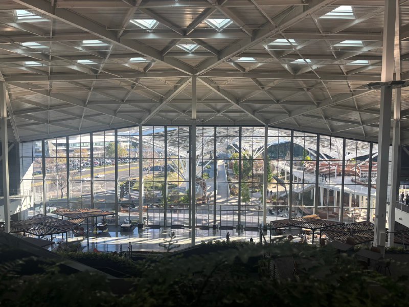 从 Yale 到湾区大厂，这周的Tech Trek让大脑彻底过载