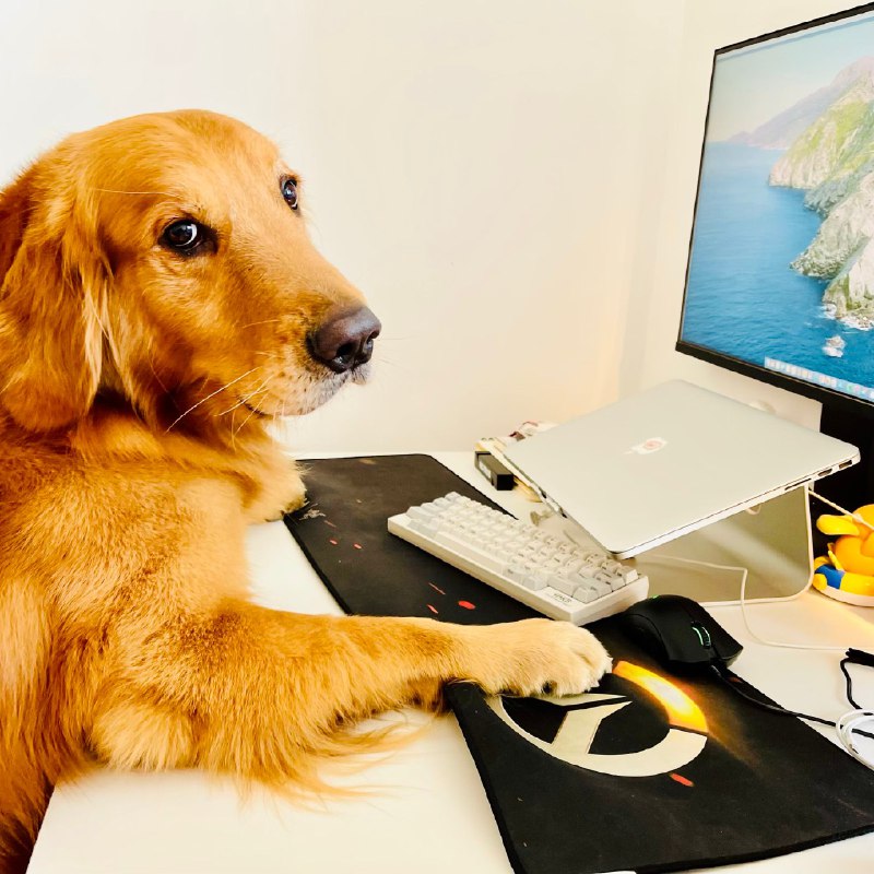 朋友们！恭喜啊，但我问一下 Manus 以后还有的用么？🙏看各方消息里也没有独立运营的承诺，作为曾经真的用 Facebook 的 Workplace 协作办公过的人来说，融入合并都是无法接受的（bushi