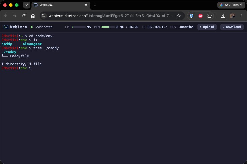写了一个 web terminal ，使用 websocket 连接任意宿主机