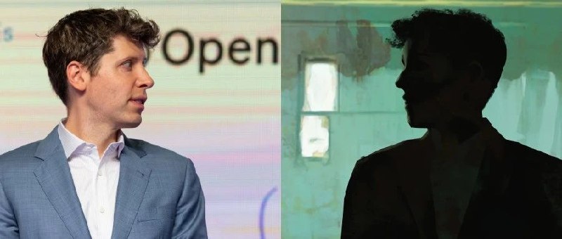拨开 12 天发布云雾，一窥 OpenAI 的真实进度在这周回顾 OpenAI 12 天发布会内容的播客中， @葬花达人鲁智深 提到，整 12 天的发布，最有价值的发布，是「第九天的文档更新」，以及 OAI 围绕结构化输出所做的努力（从 36% 的成功率，到100%的成功率）