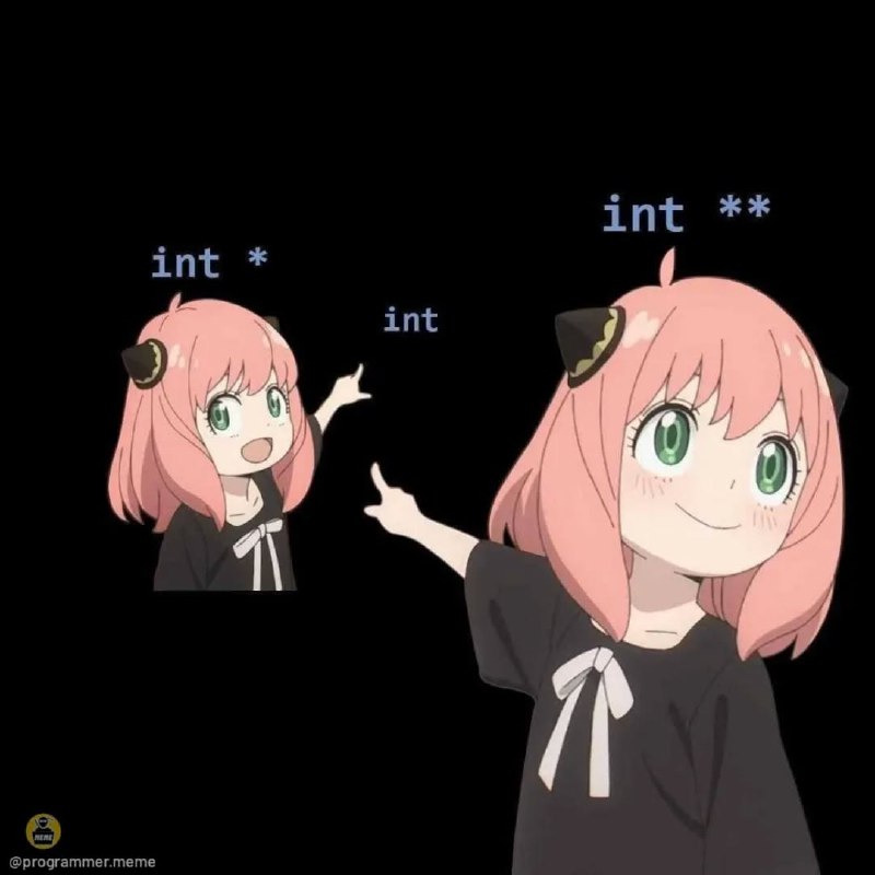 指针指针