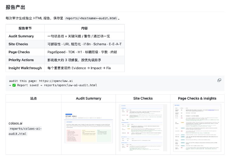 「seo-audit-skill」增加了一些 案例，大家可以看看 ～地址：