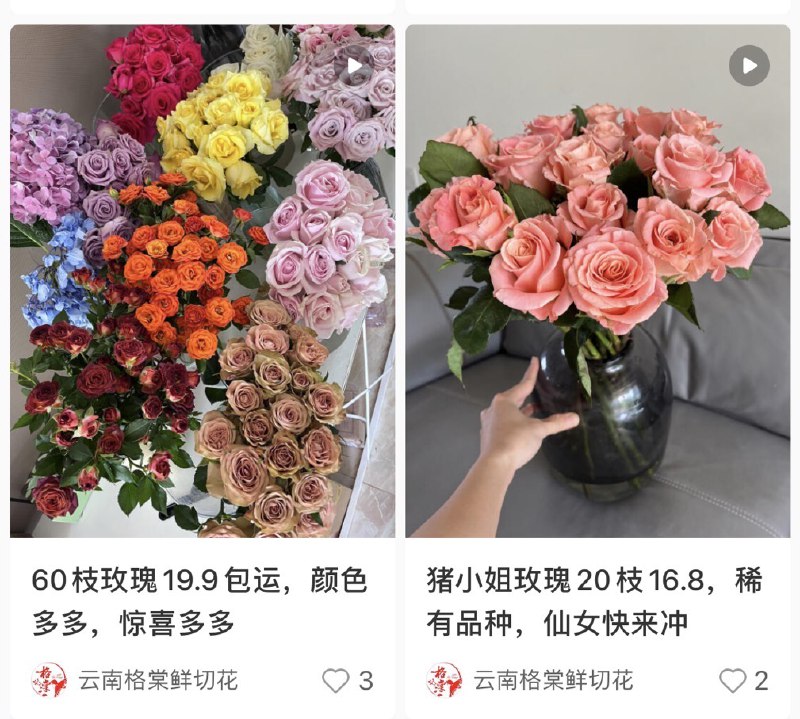 #自媒体运营频道 #@yunying23鲜花批发老板，正在小红书上闷发大财千万不要小看任何一个赛道，有的虽然利润低，但架不住量大