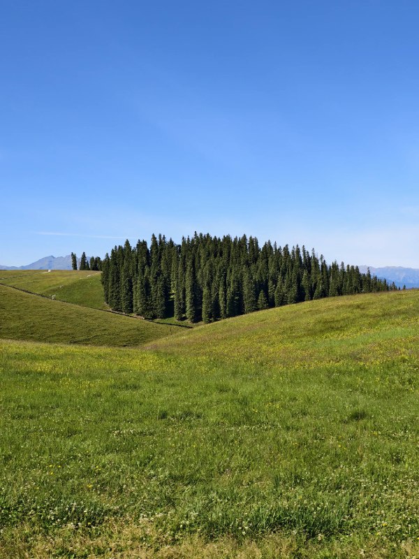 我给你们讲一个故事吧在上一家公司，有一次做一个国企的操作系统定制项目我一进对方的会议室，对方的CEO和CTO，马上就超级热情的涌过来，说：你就是 deepin linux 的那个神奇小子吧，我们早就听说过你了 .......我跟你讲，那个热情的程度，我感觉我像国家元首被接待了一样，一般人还真的抗不住然后整个会议就给我戴整高帽子，一顿五彩虹的夸，我就听他们讲需求，真需求还是有的，但是讲一讲就非要插一句，我们是这个项目的总体规划单位，我们双方合作，以后卖多少套......真的那个体感很不好，你的技术需求很简单，就踏踏实实讲就行了，为啥全程还要穿插给我画饼呢？开了一上午会，需求就是三个方面：1. 技术需求：很简单2. 虚拟画饼：贼大，但是这个饼有实际的数据吗？没有，就是一个虚拟的饼，看不见摸不着3. 目标很大：一说做操作系统，就和雷老板一样，超越Google，超越苹果啥的