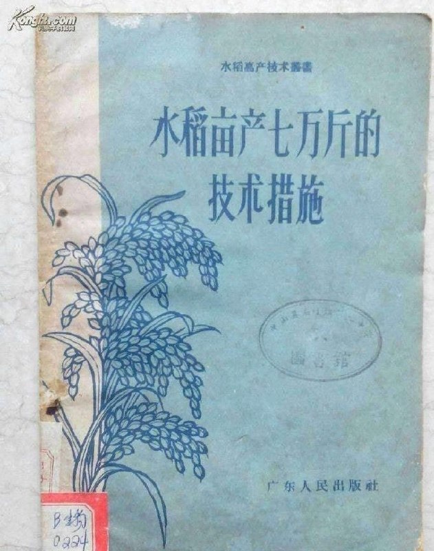 隔了这么久才用上Claude Code（Claude4），第一个感觉是这两个星期真是虚掷了年华！我跟一个弱鸡Windsurf较什么劲呢，早用Claude早就亩产七万斤了😇😇😇花钱啊，愉快啊，618最好的礼物啊😍