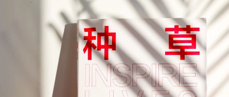 消失的这244天里，我们和小红书官方一起写了本书过去大半年，我们和小红书一起写了本书