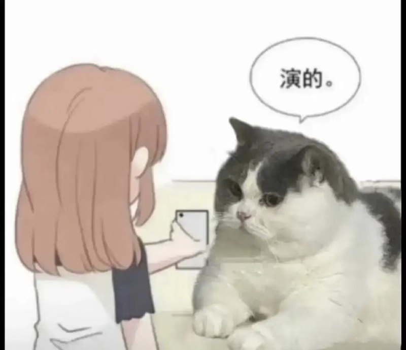 Ins和Snapchat是如何完成冷启动的（产品运营视角）：Snapchat🔥：> 0～2k DAU：创始人在学校兄弟会/创业课/饭堂地推，成为了大学里很火的app