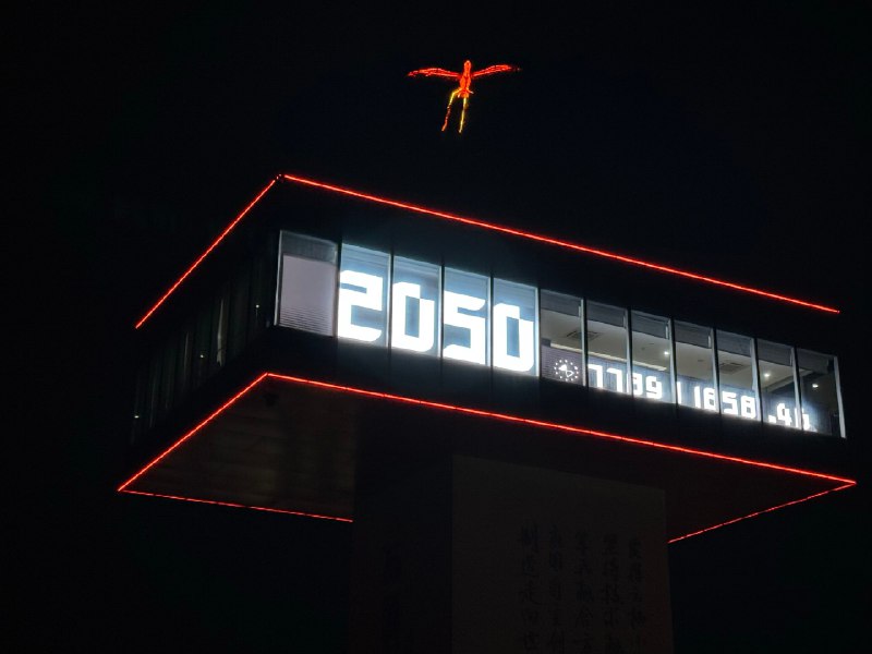 薅了一些2050精彩羊毛
