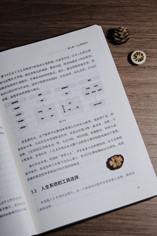 28岁，我的人生第一本书，开卖了！！！《Notion 人生系统》，国内第一本Notion书，正式上市了——可以说，这本书里面，集合了我从 0 到 1 做到全网 30 万粉丝的核心方法论，以及向各种大佬付费几十万学到的经验方法