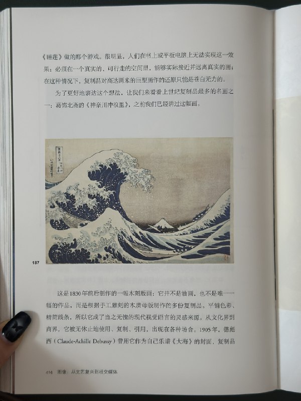 未读出的这本书很好：《图像：从文艺复兴到社交媒体》