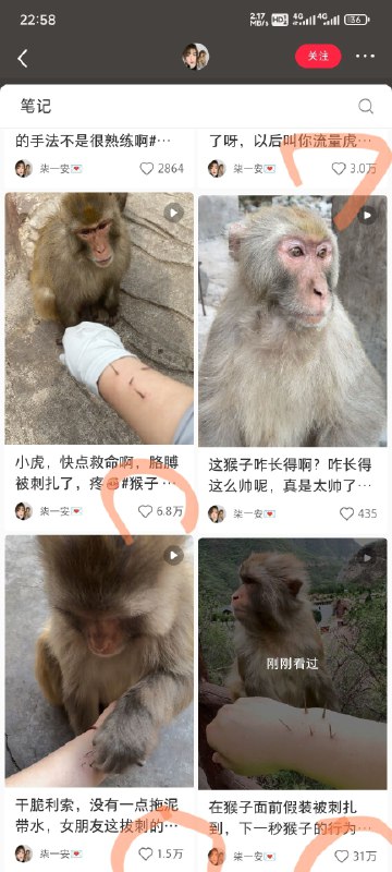 #自媒体运营频道 #@yunying23流量密码，一个有播放量，多次重复，依然还有播放量