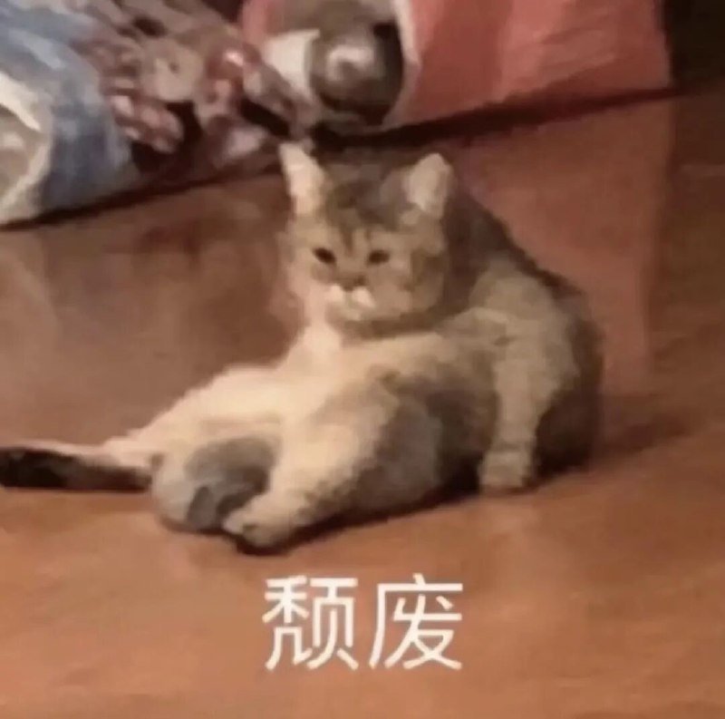 #出海运营秘籍👉@yunying23闽南语赛道好卷啊，做了快 8 年都没起色，巧合下做的客家话，不到 1 年就快赶上了