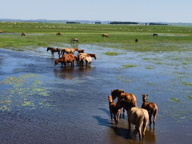 我来给大家分享一个我自学编程的经历100％容易复刻1. 折腾阶段：Windows和Linux系统经常装系统，折腾各种配置，不要怕，大不了就重装