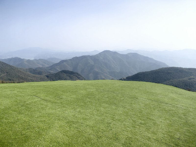 阿里系的产品发布，总给人一种没准备好就强行拉出来展示的感觉，像极了春节被要求出来表演节目的孩子，从高德、灵光、阿福到千问…… 我都能想到内部产品同学是怎么抗议，然后抗议无效的