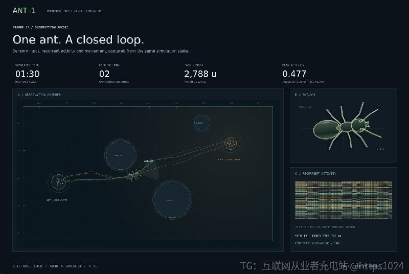 把仿真蚂蚁身体接到 32 单元合成神经控制器上，做成可观察、可干预、可按种子复现的闭环实验台