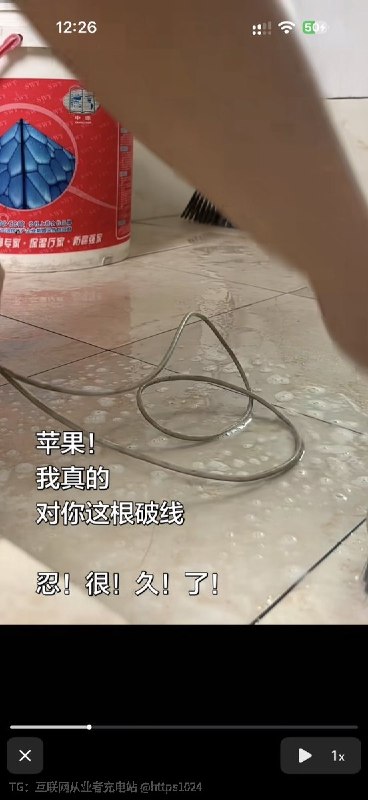 Apple自带的编织充电线什么颜色🥲你们怎么保养的
