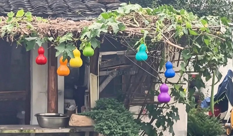回来了，都回来了