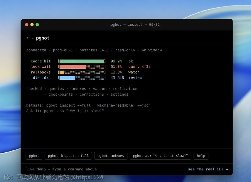 只读连上 PostgreSQL，直接读统计视图生成带健康评分和历次变化对比的诊断报告，DBA 和 AI 代理都能直接用