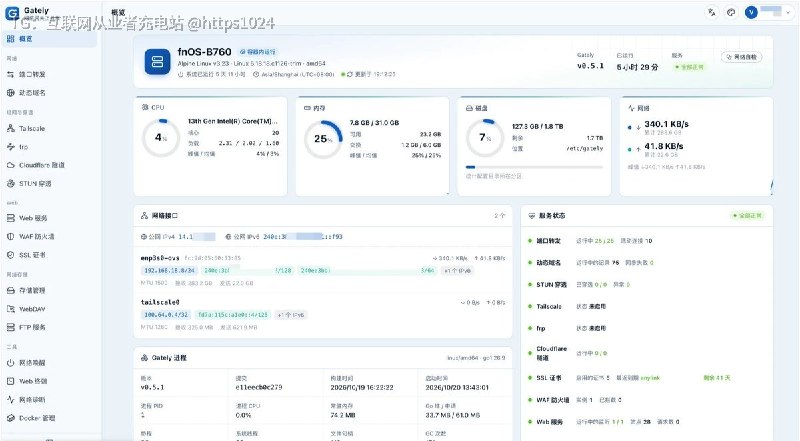把家庭网络、NAS 和服务器需要的 DDNS、STUN、端口转发、反向代理、证书、WAF 与内网穿透集中进一个大约 32 MB 的自托管程序