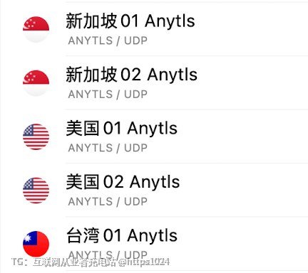 现在出海上网工具的协议都是AnyTLS 这种了吗🥲路由器要升级了 再不升级就被抛弃你🪜用的啥协议了@