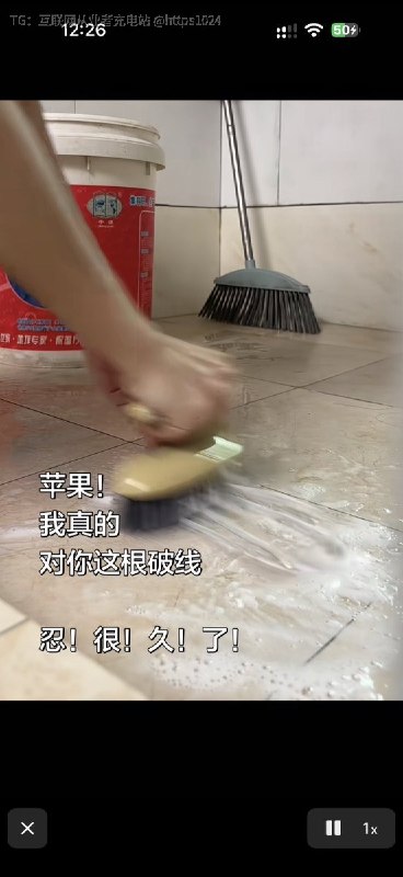 Apple自带的编织充电线什么颜色🥲你们怎么保养的