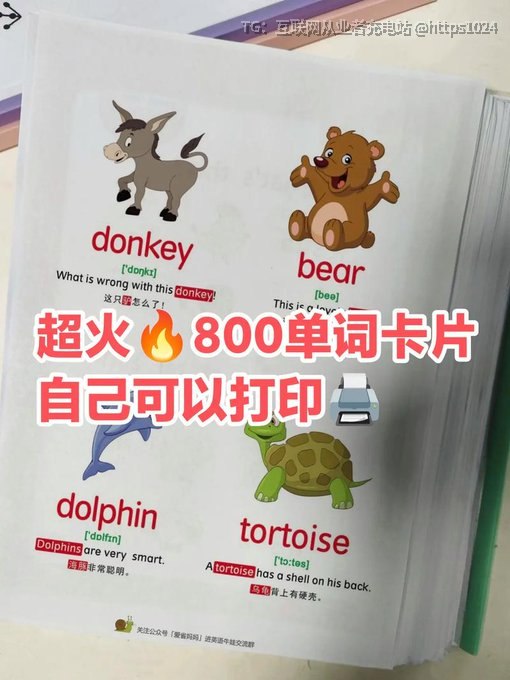 全网最强800单词卡片来了！高效背词神器精选核心800词，一词一卡，释义+例句+音标+记忆法全都有，排版干净到直接打印就能用