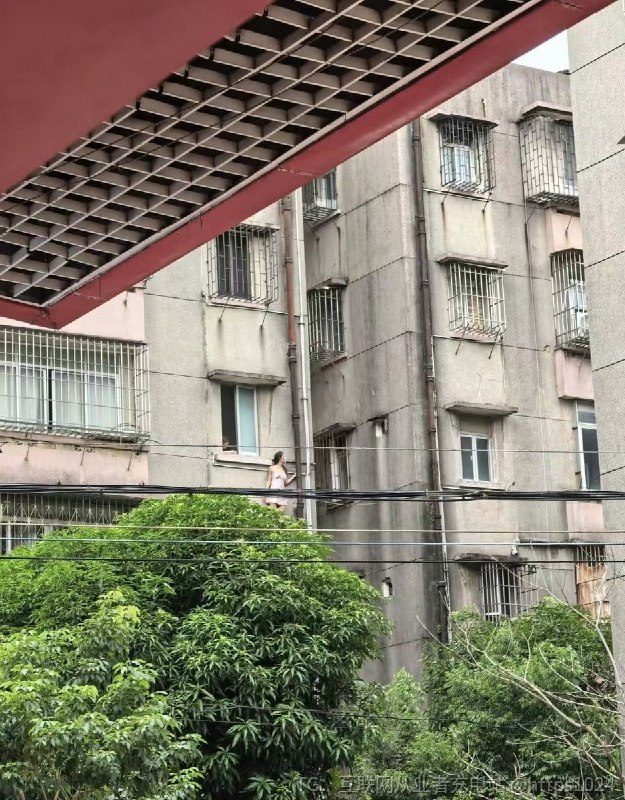 昨天是七夕 今天这个是什么瓜 🍉@
